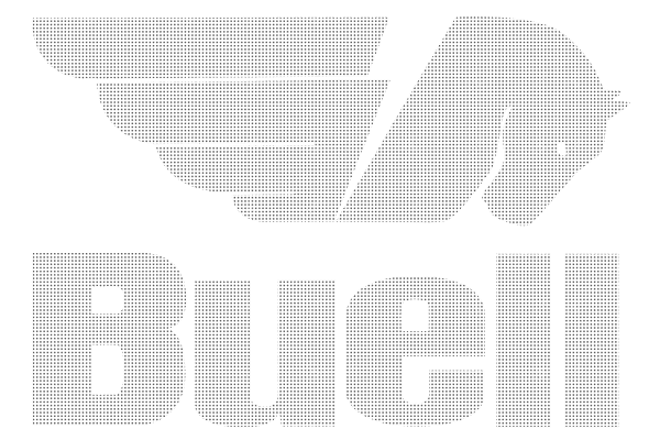 Miniature Buell